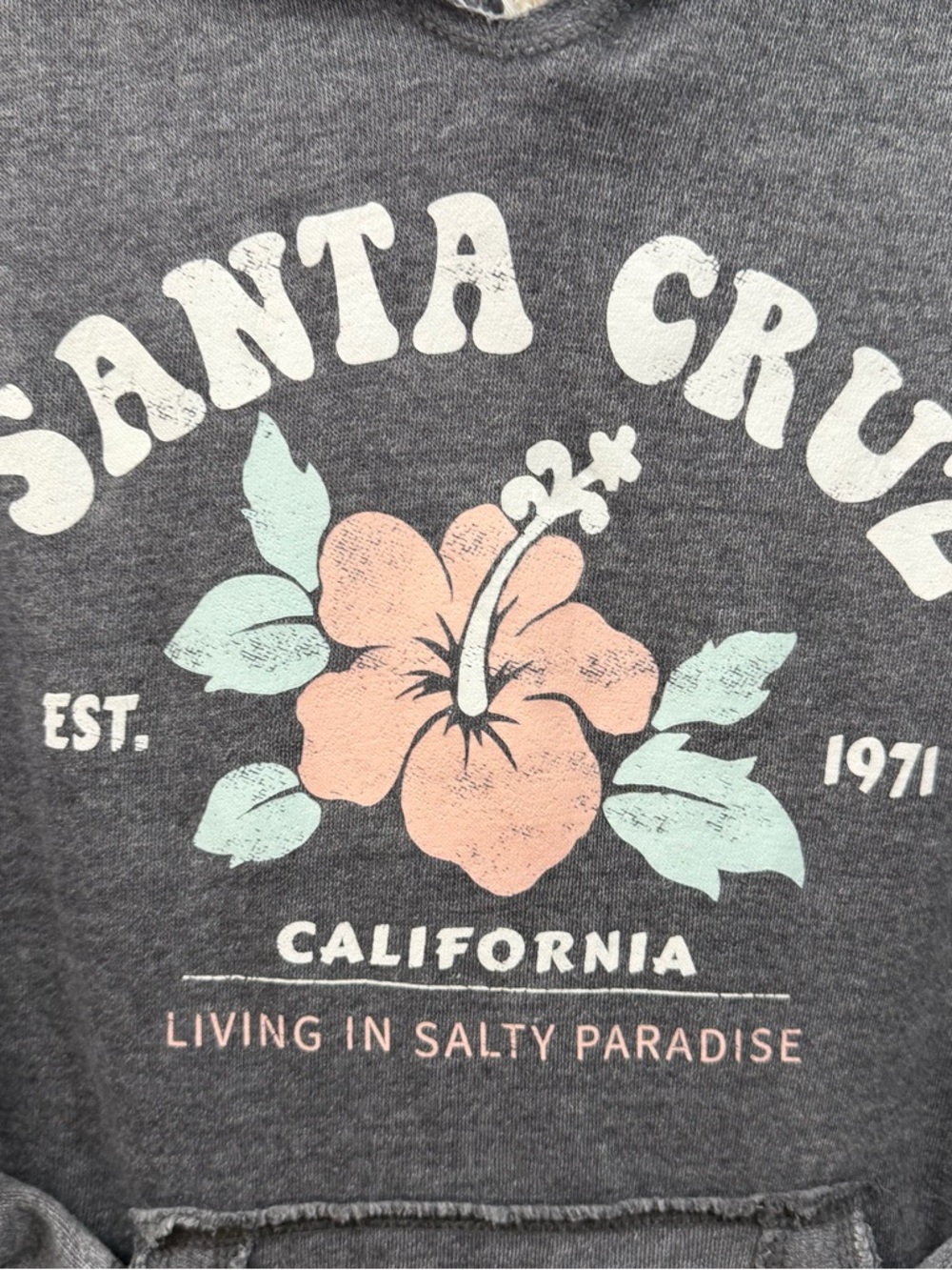Ocean Drive Santa Cruz CA Gray Hoodie with Pastel Floral Graphic Medium - Picture 2 of 8